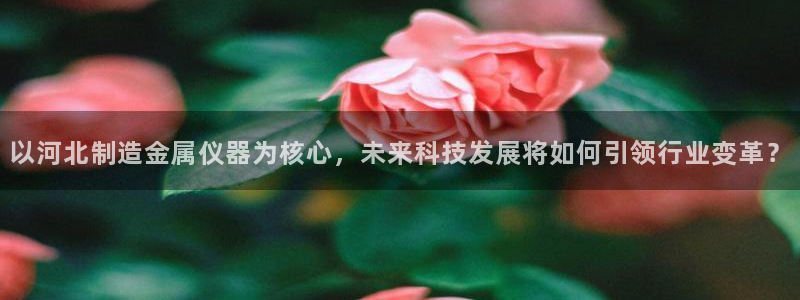 门徒娱乐赌博：以河北制造金属仪器为核心，未来科技发展将如何引