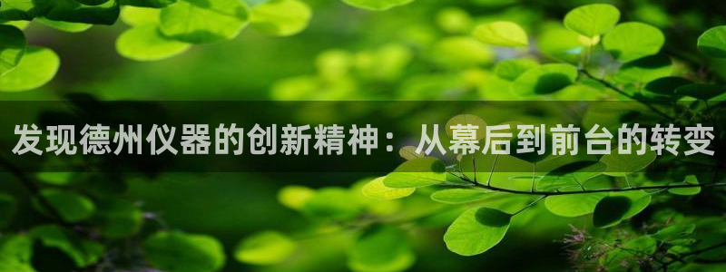 门徒娱乐平台登录：发现德州仪器的创新精神：从幕后到前台的转变