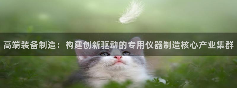 门徒娱乐计划：高端装备制造：构建创新驱动的专用仪器制造核心产