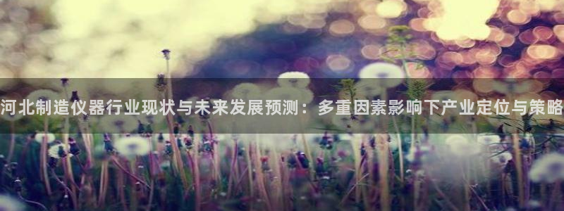 门徒第娱乐日5指尖：河北制造仪器行业现状与未来发展预测：多重