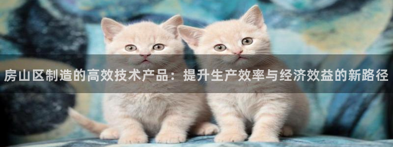 娱乐门徒 小说在线阅读：房山区制造的高效技术产品：提升生产效