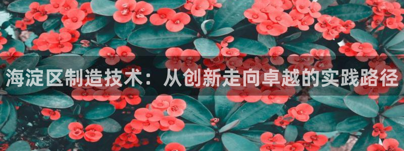 门徒娱乐平台代理公司：海淀区制造技术：从创新走向卓越的实践路