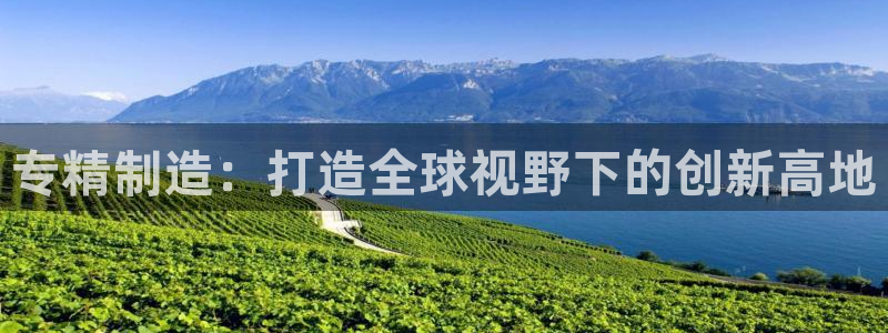 门徒娱乐注册登录：专精制造：打造全球视野下的创新高地