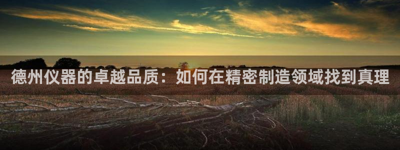 门徒娱乐官网登录网址：德州仪器的卓越品质：如何在精密制造领域