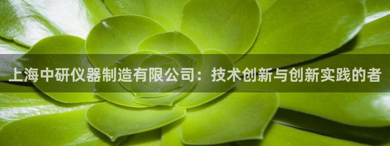 门徒娱乐圈主管：上海中研仪器制造有限公司：技术创新与创新实践