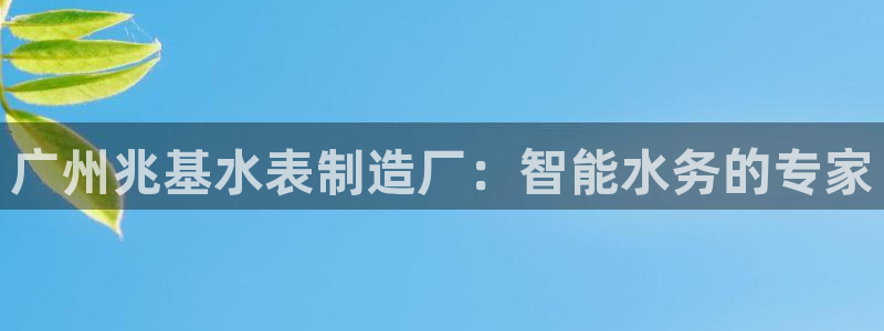 门徒娱乐主管然去判官333OO：广州兆基水表制造厂：智能水务