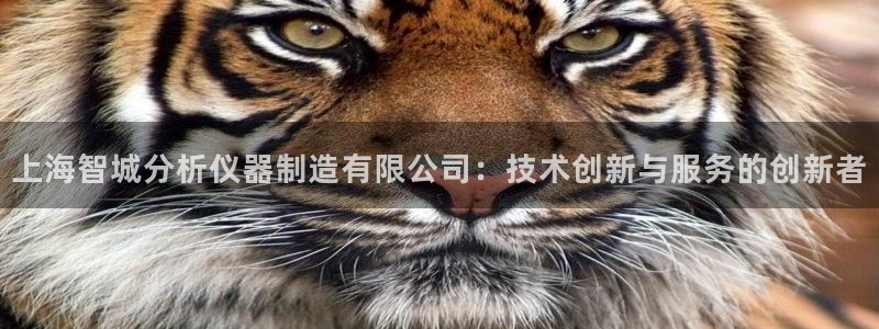 门徒平台娱乐：上海智城分析仪器制造有限公司：技术创新与服务的