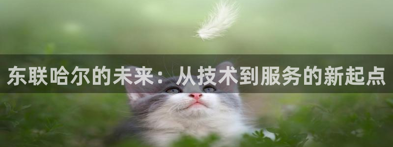 门徒娱乐是啥东西：东联哈尔的未来：从技术到服务的新起点