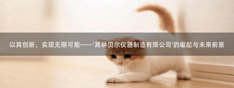 门徒娱乐登录网站：以其创新，实现无限可能——\'其林贝尔仪器
