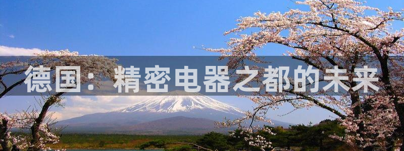 门徒娱乐注册下载安装：德国：精密电器之都的未来