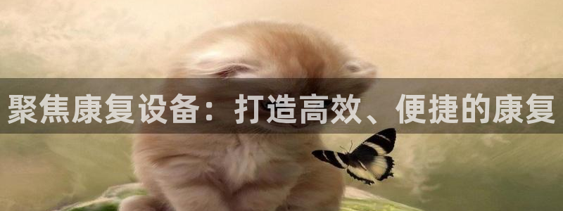 门徒娱乐是干嘛的软件啊：聚焦康复设备：打造高效、便捷的康复