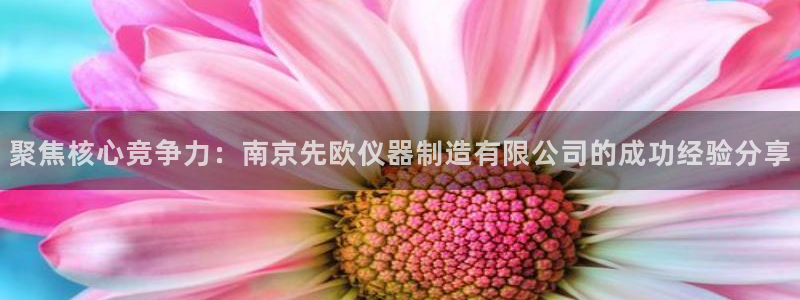 娱乐门徒80：聚焦核心竞争力：南京先欧仪器制造有限公司的成功