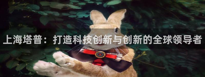 门徒娱乐注册独判官333OO：上海塔普：打造科技创新与创新的