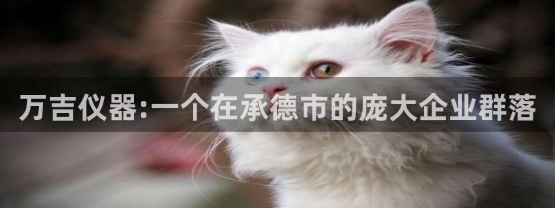 门徒娱乐团队介绍怎么写：万吉仪器:一个在承德市的庞大企业群落