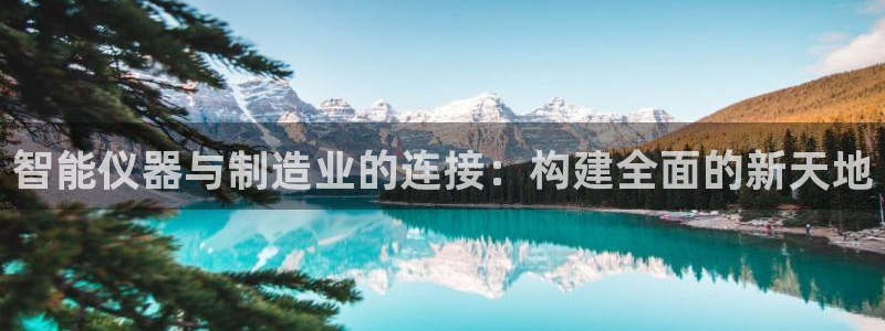 门徒娱乐平台网址是什么：智能仪器与制造业的连接：构建全面的新