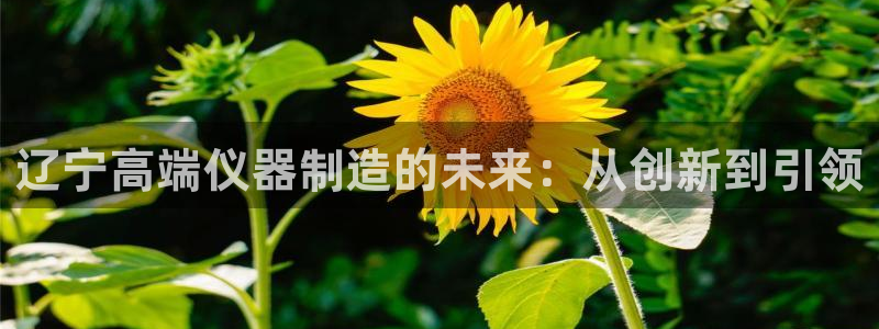门徒娱乐官网登录入口登录手机版：辽宁高端仪器制造的未来：从创
