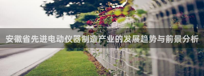 门徒娱乐入口：安徽省先进电动仪器制造产业的发展趋势与前景分析