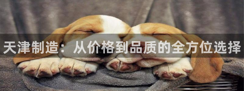 门徒娱乐怎么代理赚钱：天津制造：从价格到品质的全方位选择