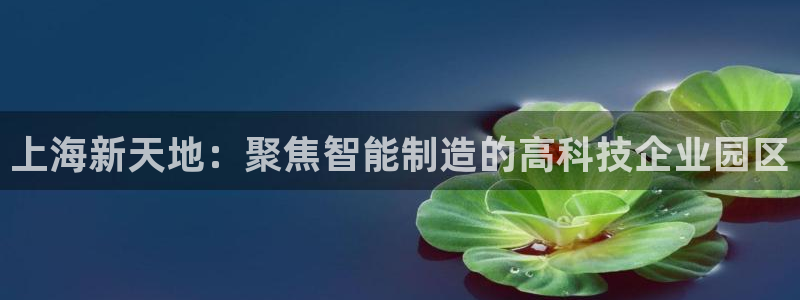 boss娱乐门徒：上海新天地：聚焦智能制造的高科技企业园区