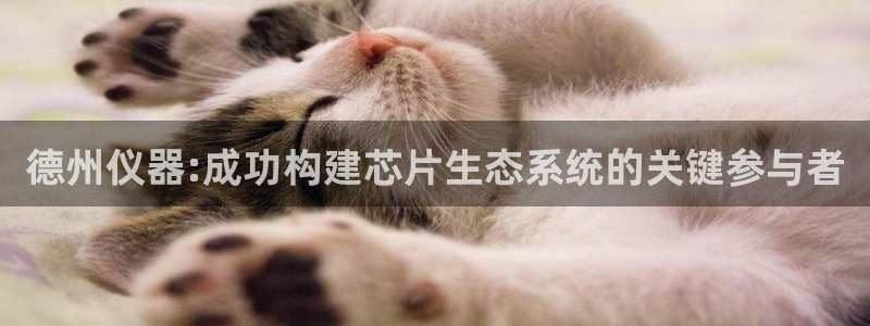 门徒娱乐怎么登录不了：德州仪器:成功构建芯片生态系统的关键参