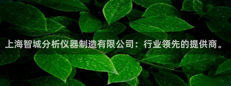 门徒彩票娱乐平台大代理：上海智城分析仪器制造有限公司：行业领
