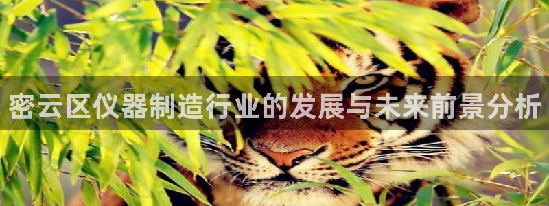 门徒娱乐老板是谁扮演的：密云区仪器制造行业的发展与未来前景分