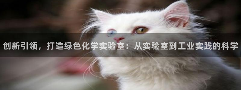 门徒娱乐赌博：创新引领，打造绿色化学实验室：从实验室到工业实
