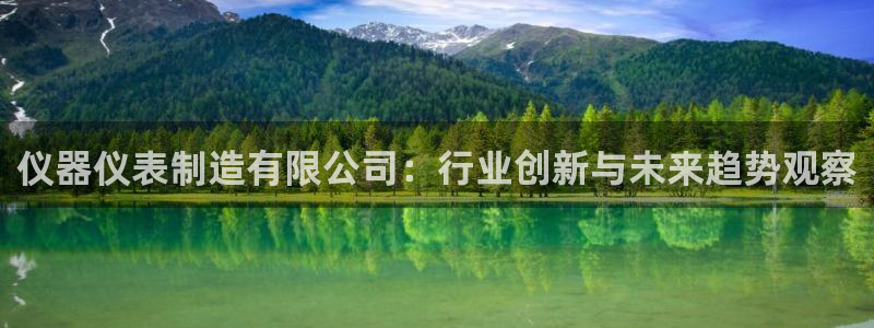 门徒娱乐官方客服电话多少：仪器仪表制造有限公司：行业创新与未