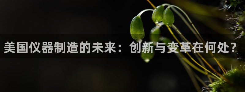 门徒娱乐场所叫什么名称：美国仪器制造的未来：创新与变革在何处