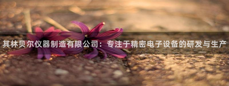 门徒娱乐跑路了吗：其林贝尔仪器制造有限公司：专注于精密电子设