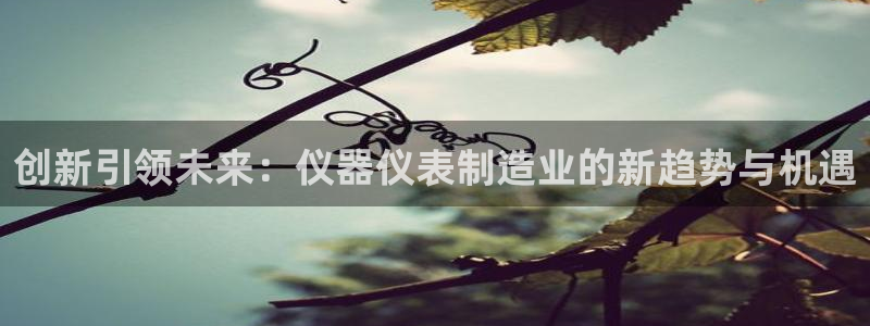 门徒娱乐是干嘛的软件啊：创新引领未来：仪器仪表制造业的新趋势