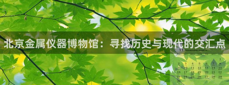 娱乐门徒百度云：北京金属仪器博物馆：寻找历史与现代的交汇点