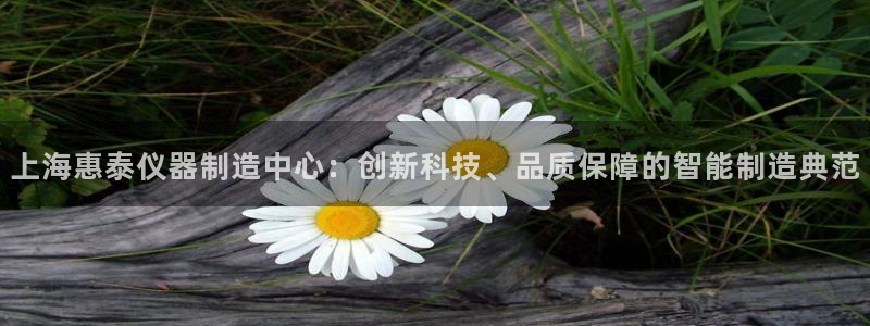 门徒娱乐的优势和劣势：上海惠泰仪器制造中心：创新科技、品质保