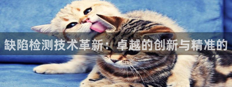 门徒娱乐是啥东西：缺陷检测技术革新：卓越的创新与精准的