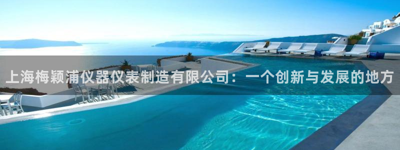 门徒娱乐代码：上海梅颖浦仪器仪表制造有限公司：一个创新与发展