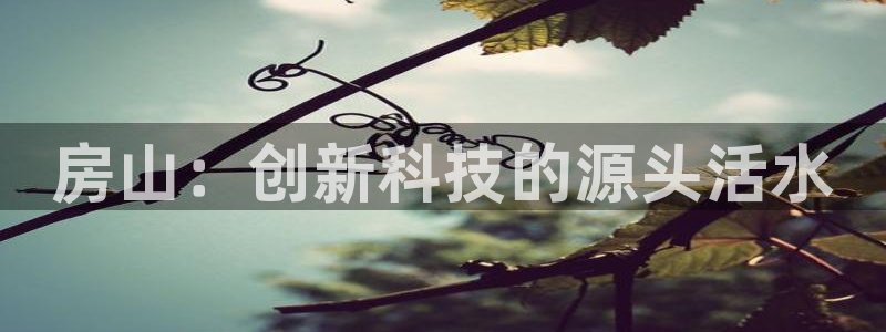 新功夫之王娱乐门徒小说：房山：创新科技的源头活水