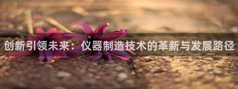 门徒娱乐是个什么软件呀：创新引领未来：仪器制造技术的革新与发