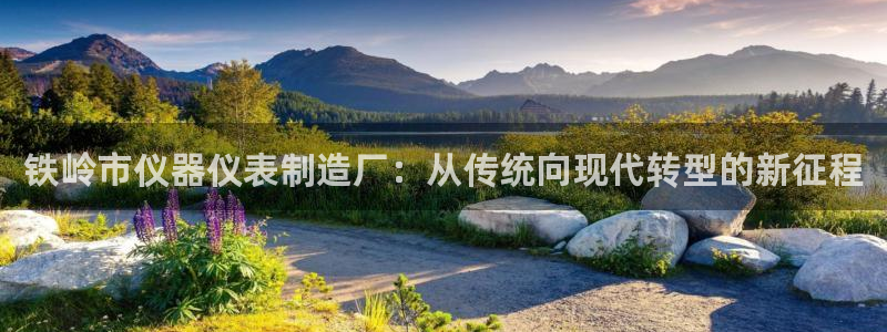 类似娱乐门徒类小说：铁岭市仪器仪表制造厂：从传统向现代转型的