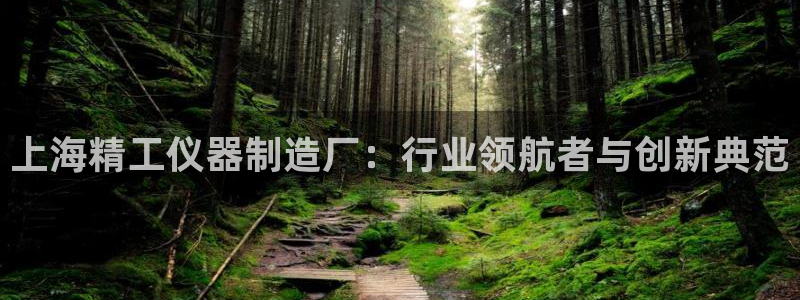 门徒娱乐平台怎么样了：上海精工仪器制造厂：行业领航者与创新典