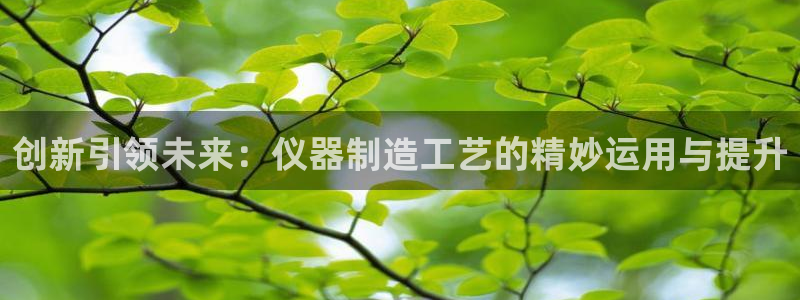 门徒娱乐平台代理公司：创新引领未来：仪器制造工艺的精妙运用与