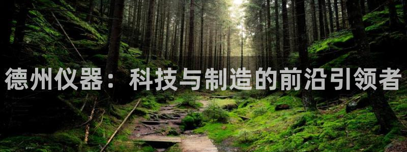 门徒娱乐彩票官网：德州仪器：科技与制造的前沿引领者