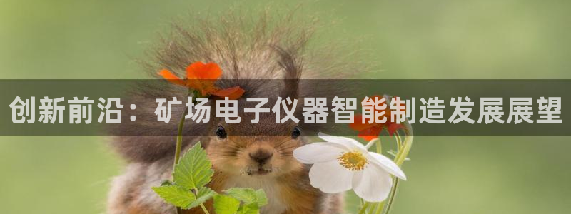 门徒娱乐场所开放时间表：创新前沿：矿场电子仪器智能制造发展展