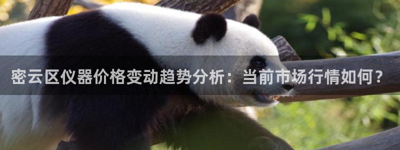 门徒娱乐平台注册时间：密云区仪器价格变动趋势分析：当前市场行