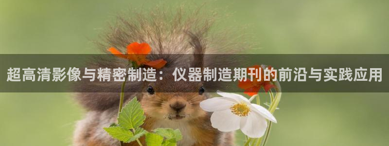 娱乐门徒未删减：超高清影像与精密制造：仪器制造期刊的前沿与实