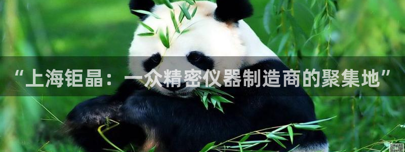 门徒娱乐网站在线观看：“上海钜晶：一众精密仪器制造商的聚集地