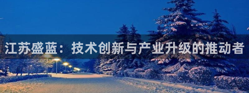 门徒娱乐发展趋势是什么：江苏盛蓝：技术创新与产业升级的推动者