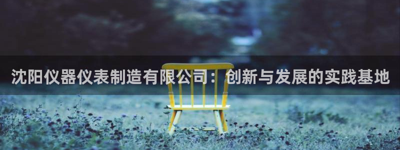 娱乐门徒 白云生：沈阳仪器仪表制造有限公司：创新与发展的实践