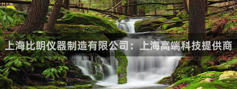 门徒娱乐平台：上海比朗仪器制造有限公司：上海高端科技提供商