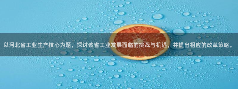 娱乐门徒王梓均简介图片：以河北省工业生产核心为题，探讨该省工