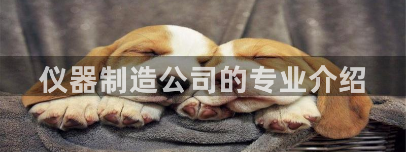 门徒娱乐成功案例有哪些：仪器制造公司的专业介绍